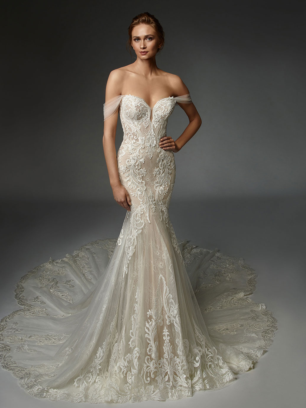 Wedding Dresses from Enzoani Blue | Upstate NY Formal Dresses