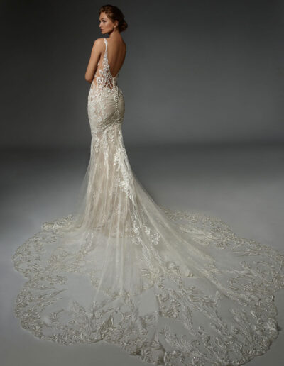 Elysee Francoise Dress Back View